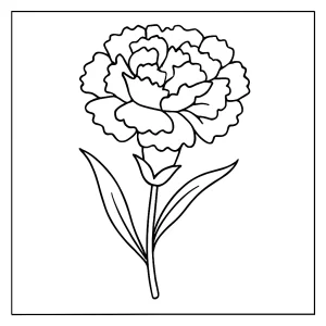 página para colorear de un clavel detallado para imprimir y colorear