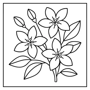 Página para colorear de una flor de jazmín para imprimir gratis