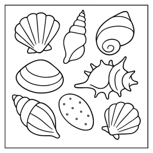 Seashells coloring page with printable shell designs for kids and adults