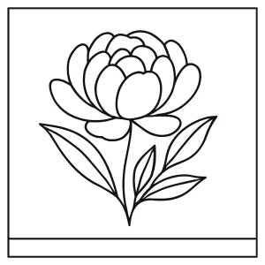 Peonía zen minimalista página para colorear en blanco y negro, lista para imprimir y disfrutar coloreando.
